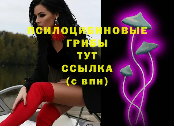прущие крисы Аркадак