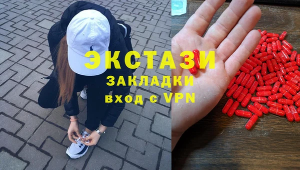 индика Бронницы