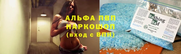 гашик Арсеньев
