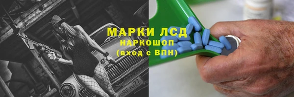 гашик Арсеньев