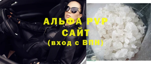 гашик Арсеньев