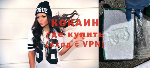 гашик Арсеньев